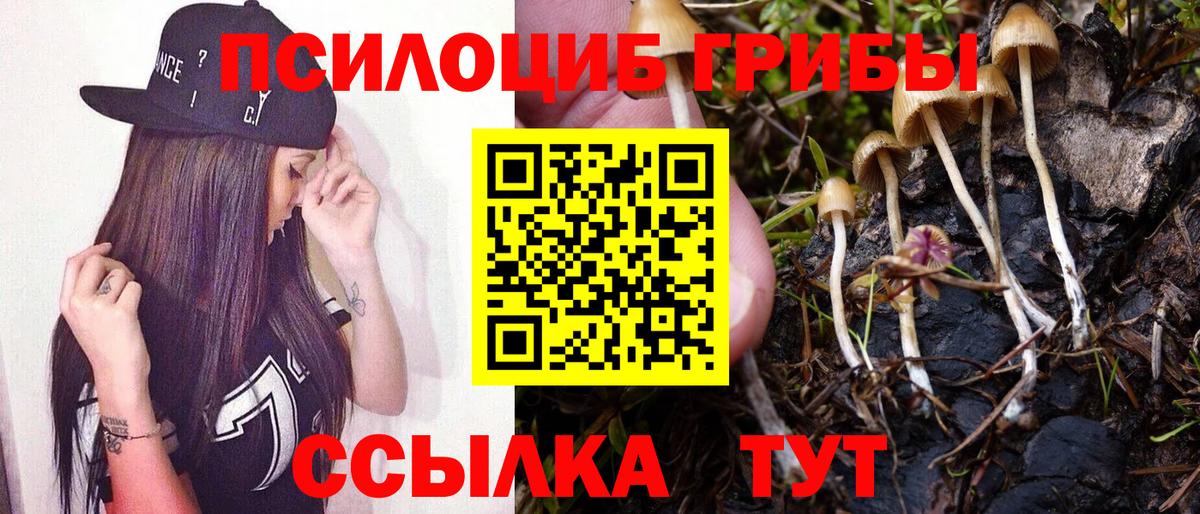 Галлюциногенные грибы прущие грибы  Псилоцибиновые грибы Psilocybe  как найти закладки  Славянск-на-Кубани  Вход с VPN 