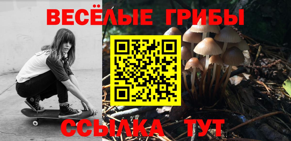 Галлюциногенные грибы Cubensis Славянск-на-Кубани